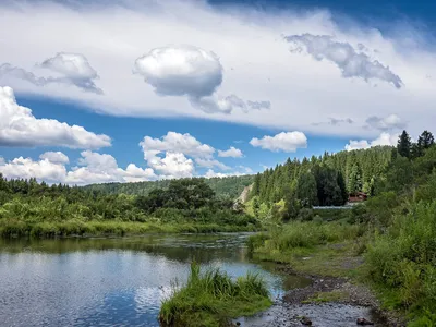 Величественные пейзажи реки Чумыш на фотографиях