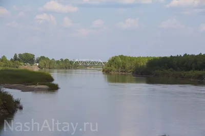 Фотографии реки Чумыш: вдохновение и умиротворение