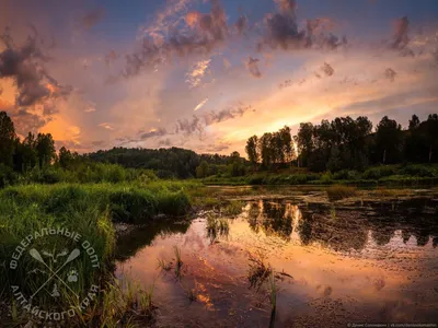 Бесплатные обои на телефон с фотографиями Реки Чумыш