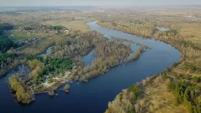 Река десна фотографии