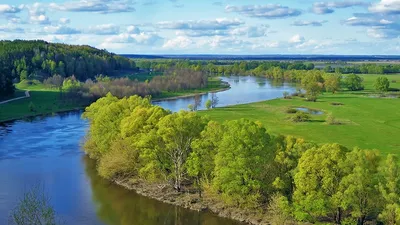 Фотографии Реки Десна в природе: Картинки настолько реалистичны, что захочется окунуться в эту красоту.