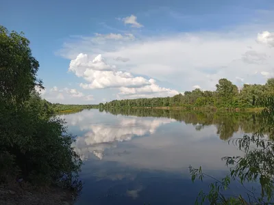 По водным просторам: великолепие Реки Десна на фото