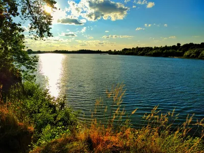 Загадочные воды: фото прекрасной Реки Десна