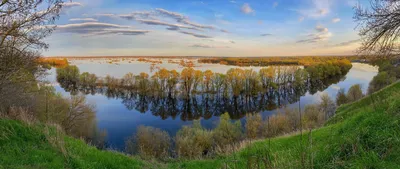 Река Десна: воплощение спокойствия и красоты на фото