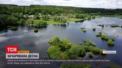 Волшебная река: фотографии захватывающего путешествия по Десне