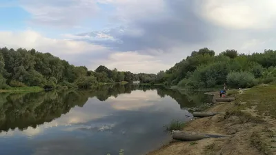 Оазис природы: увлекательные фото Реки Десна