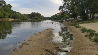 Неповторимая Река Десна: удивительные снимки на фотографиях