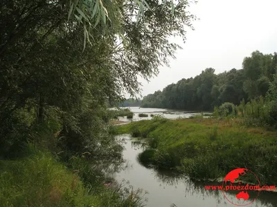 Водная симфония: уникальные фотографии Реки Десна