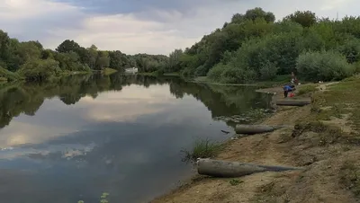 Фотографии Реки Десна: насладитесь прекрасными видами