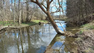 Фото реки Десны на рабочий стол: красивые обои бесплатно.