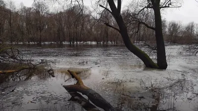 Фотографии реки Десны в 4K: невероятная глубина красок.