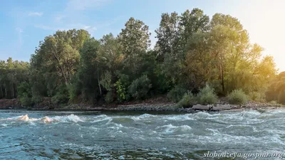 Величественная красота Реки Днестр на фото