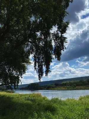 Река Днестр в 4K: подробности, которые захватят вас