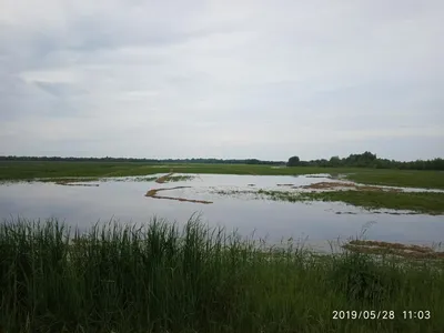 Фоны Реки горынь: Удивительные пейзажи для вашего устройства