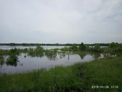 Фото Реки горынь: Величественные виды в 4K разрешении