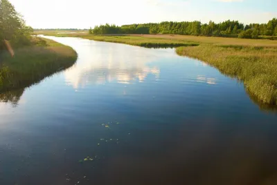 Фото: Величественная Река горынь во всей своей красе