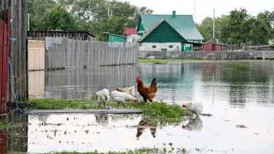 Природное чудо: Фотографии Реки горынь, которые захватывают дух