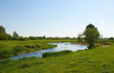 Приключения на воде: Фотографии Реки горынь, чтобы ощутить адреналин