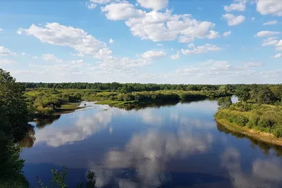 Webp фото реки: современный формат изображений для загрузки