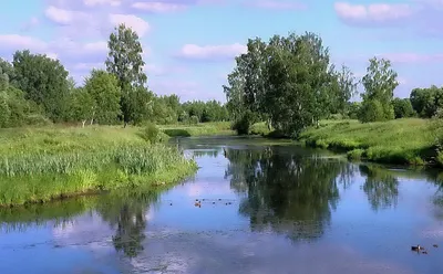 Величественная Река: Красота природы во всей своей славе