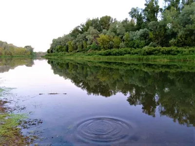 Мощь и красота Реки Индигирка в объективе