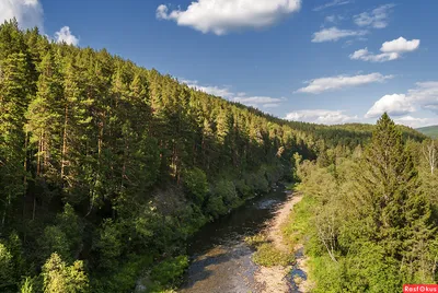 Фото реки Инзер с красивыми отражениями на воде