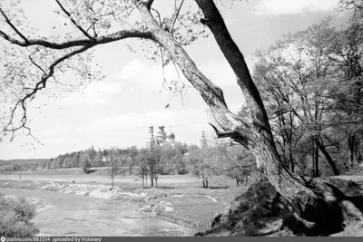 Фотографии реки Истра: взгляд на природу