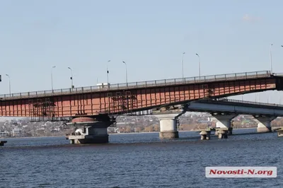 Встреча с дикой природой: фото, передающие дух Южного Буга