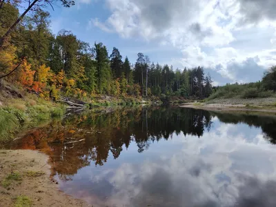 Река керженец фотографии