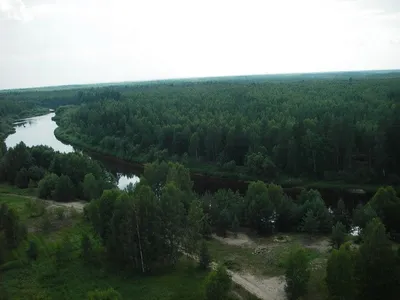 Прикоснитесь к природе на фото реки Керженец