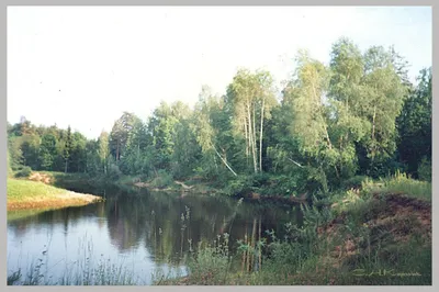 Величественная Река Керженец на фотографии