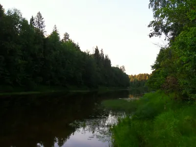 Путешествие по реке Керженец на фотографиях