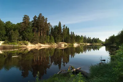 Бесплатные фото реки Керженец для скачивания