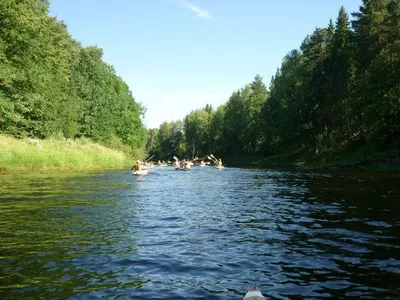 Узнайте больше о реке Керженец через фото