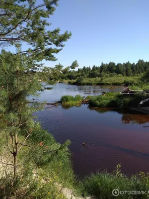 Загрузите фотографии реки Керженец бесплатно