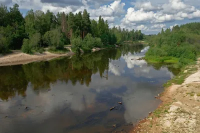 Удивительный снимок реки Керженец в наилучшем качестве