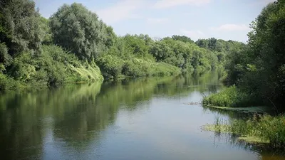 Путешествие по реке Хопер на фотографиях