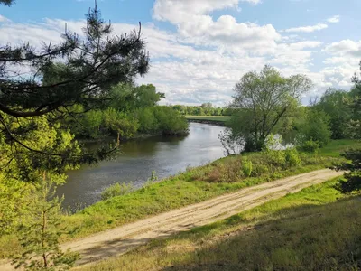 По следам дикой природы: Фотографии Реки Хопер и ее обитателей