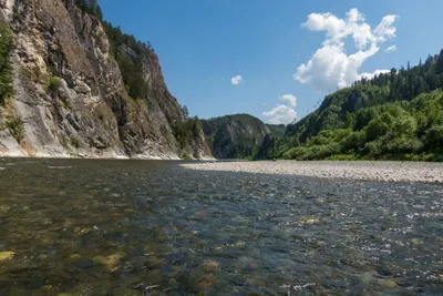 Прекрасные виды Реки Кия: скачать бесплатно и наслаждаться красотой