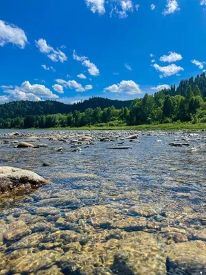 Исследуйте красоту реки Кия через фото