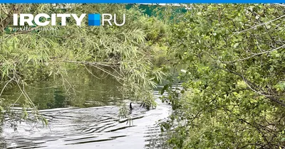 Величественные воды реки Китой в фотоформате