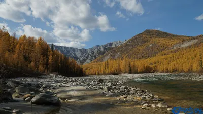 Фотоальбом реки Китой: путешествие в сердце природы