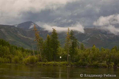 Река Колыма: Величественные пейзажи на фото