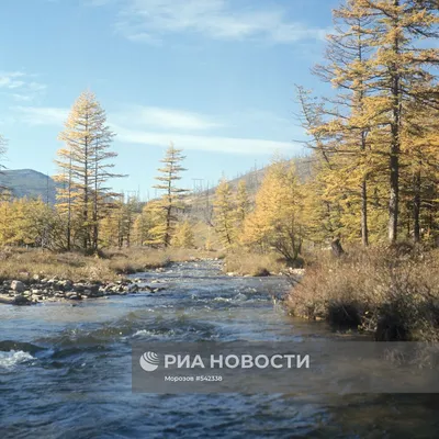 Фотография реки Колыма в природном окружении