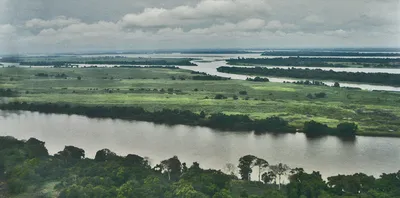 Река Конго: Загадочность и мощь природы на фото