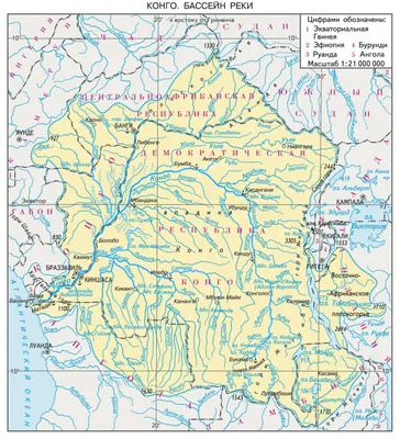 Фото Реки Конго: Путешествие в мир дикой природы