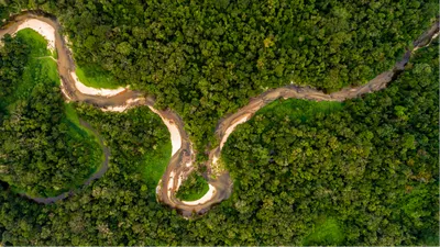 Рисунок Реки Конго - Удивительные моменты природы