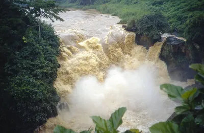 Фото реки Конго в 4K разрешении