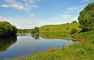 Река красивая меча: Природное великолепие на фото