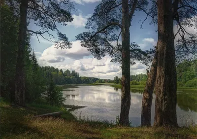 Насладитесь красотой Реки Кубань - бесплатные картинки и фотообои